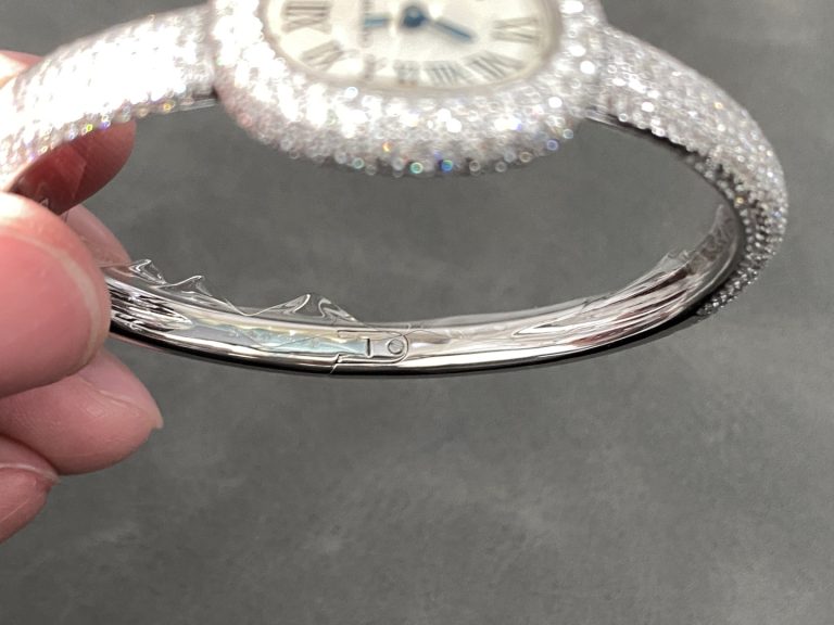 Cartier bathtub series HPI01607