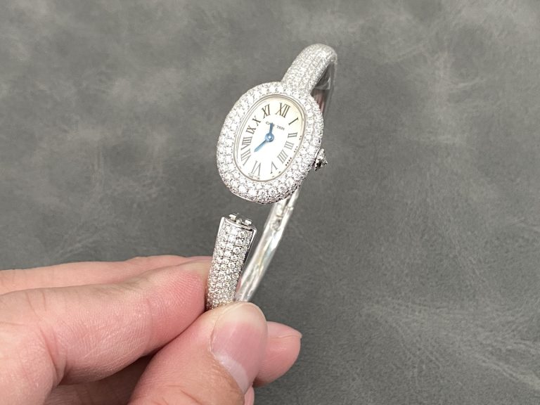 Cartier bathtub series HPI01607